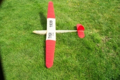 FB-TYGR1