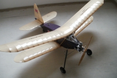 FK-MOUSE4