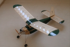FK-WASP3