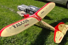 JD-FALCON1