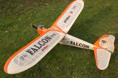 LK_falcon1