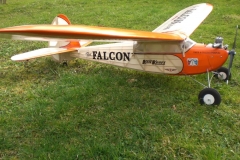 LK_falcon2