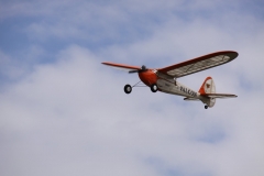 LK_falcon4