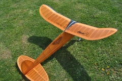 MV-PACER2