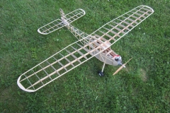 PF-SIMPLEX1