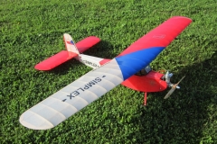 PF-SIMPLEX2