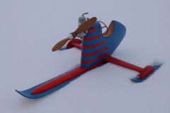 polar3
